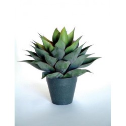 Agave Nigra 2242 Pianta Artificiale