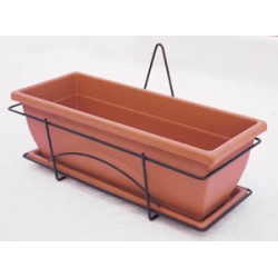 BALCON. NARCISO  - KITIBL50/CONF.029