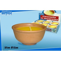 Citronella In Terracotta In Display