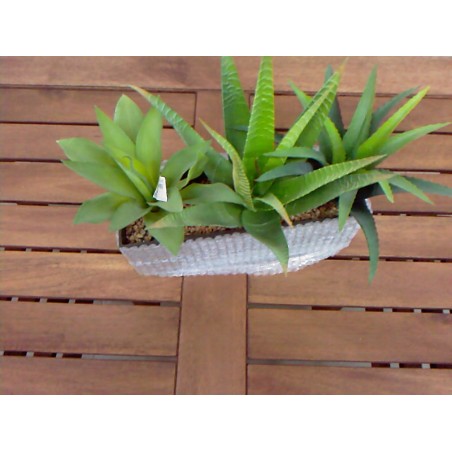 COMPOSIZIONE 3 AGAVE 1311 LUNGH.40CM X H30CM