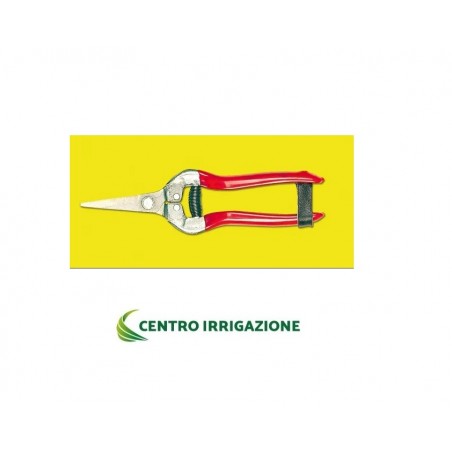 FORBICI COGLIUVA LEGGERA LUNGA