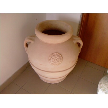 ORCIO AGRIFOGLIO O64X80H