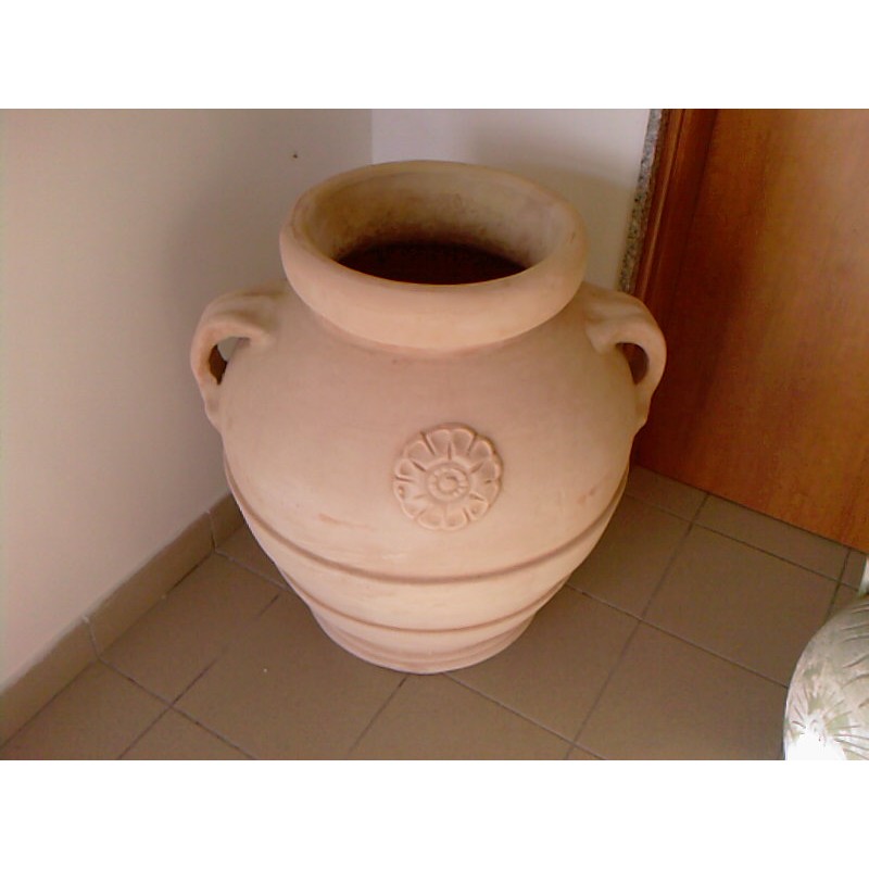 ORCIO AGRIFOGLIO O64X80H