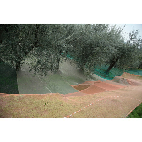 RETE 33GR TAGLIATA C/BORDINO 10X10 VERDE OLIVE