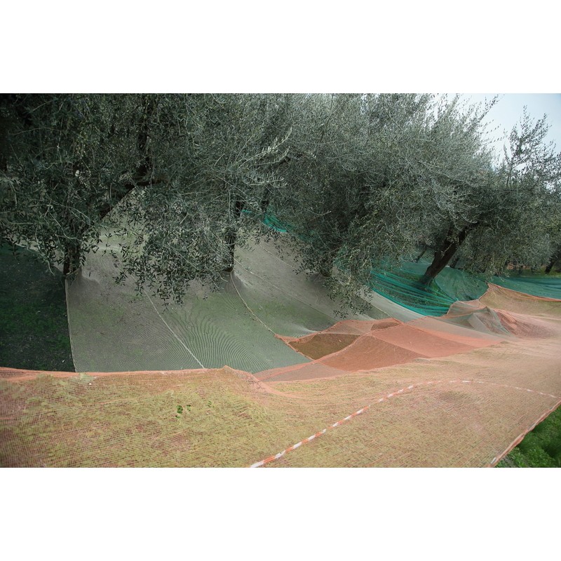 RETE 33GR TAGLIATA C/BORDINO 12X12 VERDE OLIVE