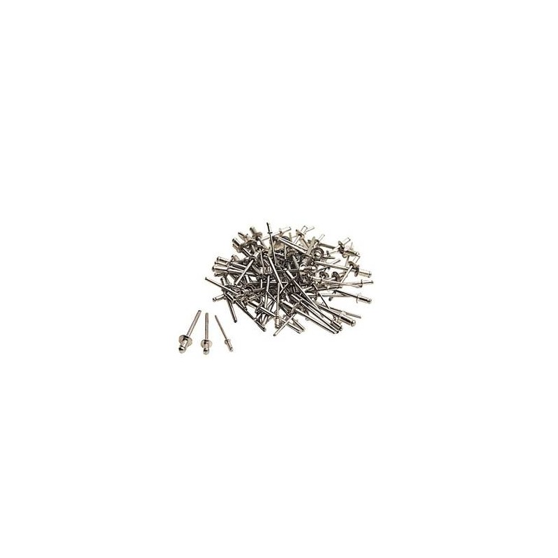 RIVETTI ASSORTITI 100PZ