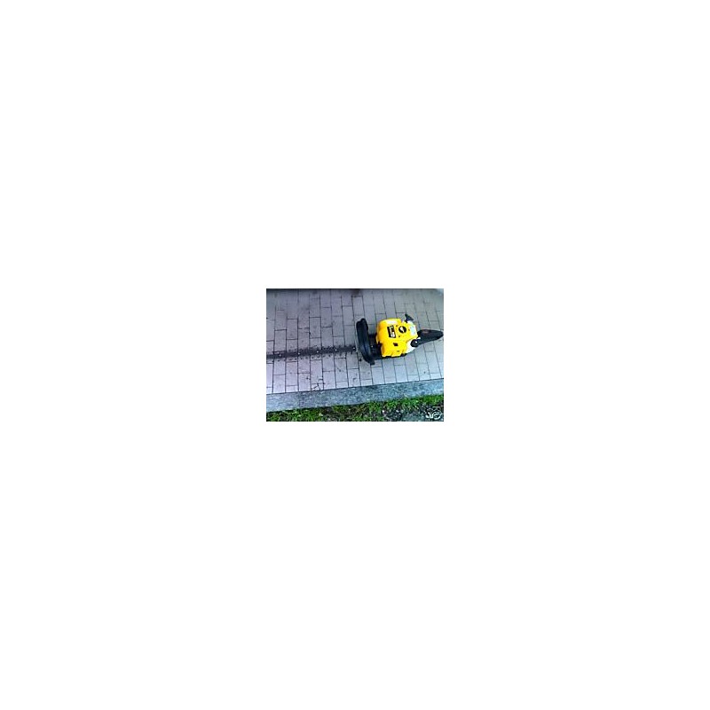 TAGLIASIEPE SC TIVOLI 65