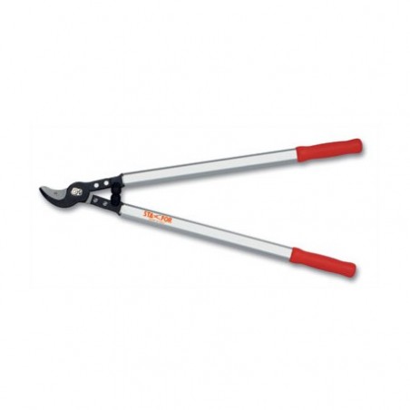 TRONCARAMI PER FRUTTETO DRITTO