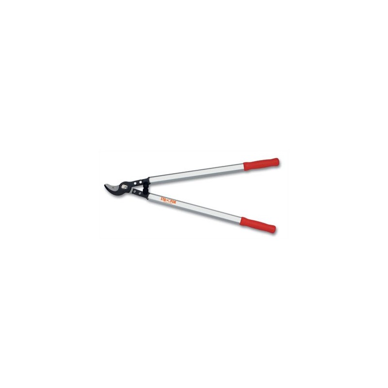 TRONCARAMI PER FRUTTETO DRITTO