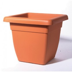 Vaso Atena Quadro 40x40