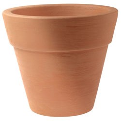 Vaso Campana C/fascia Larga D.25