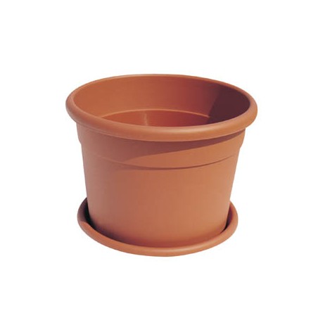 VASO DIANA_ICIL60