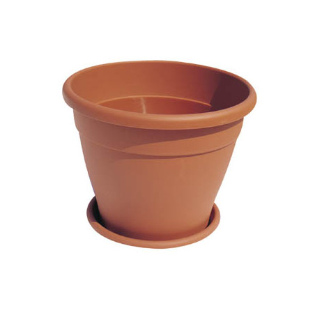 VASO MINERVA ICO21