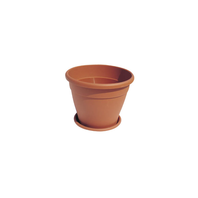 VASO MINERVA ICO21