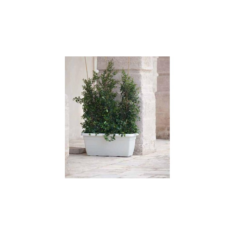 CASSETTA GIUNONE 80X40 -AVANO