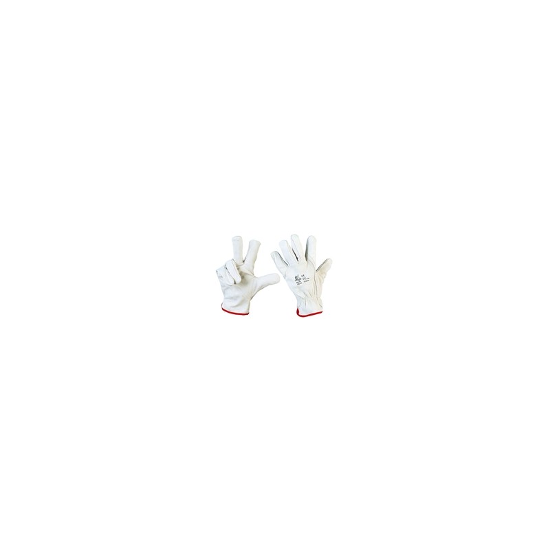 FIORE DORSO CROSTA BORD.     -TAGLIA 10*