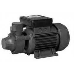 Elettropompa Periferica In Ghisa Centrifuga Autoclave Prevalenza 1,0 Hp