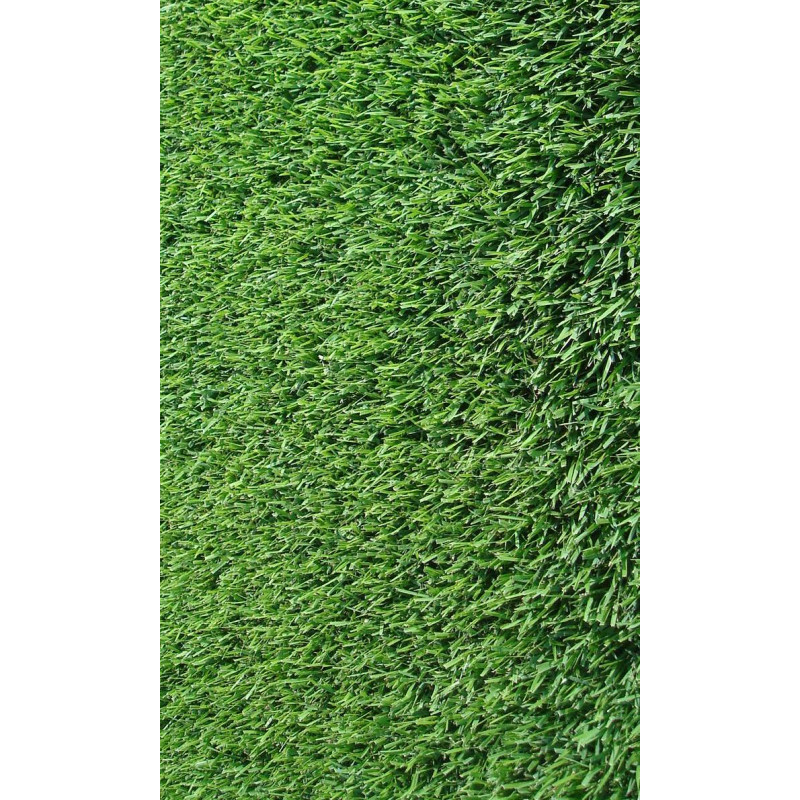 GRAMIGNA (CYNODON DACTYLON) KG 1,00