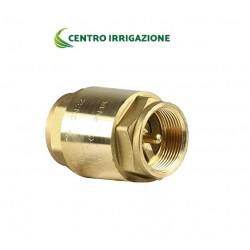 Valvola Europa 2"1/2