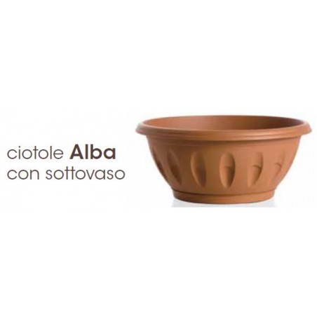 CIOTOLA ALBA C/SOTTOVASO D.60X36X25H -40LT