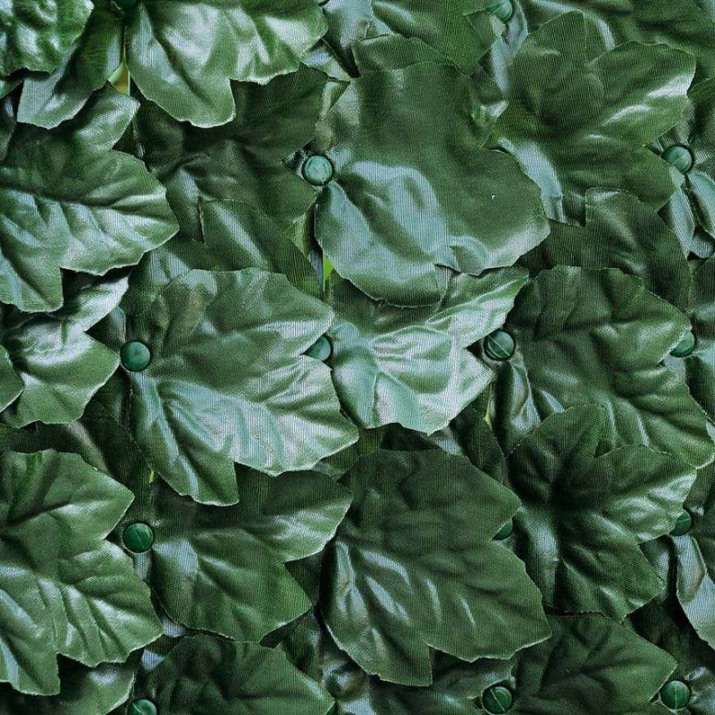SIEPE VERDECOR EXTRA A FOGLIE TIPO EDERA M 1X3