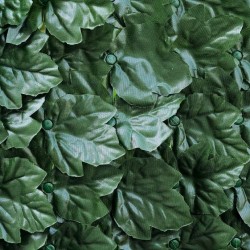 SIEPE VERDECOR EXTRA A FOGLIE TIPO EDERA M 1,50X3