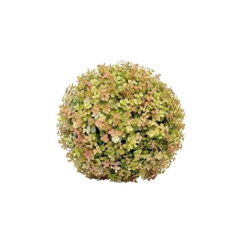 SFERA DI EUCALIPTO D. 33CM