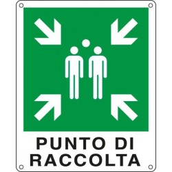 Cart. Indic."punto Di Raccolta" 25x31cm