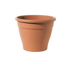 Vaso Conico Plastica
