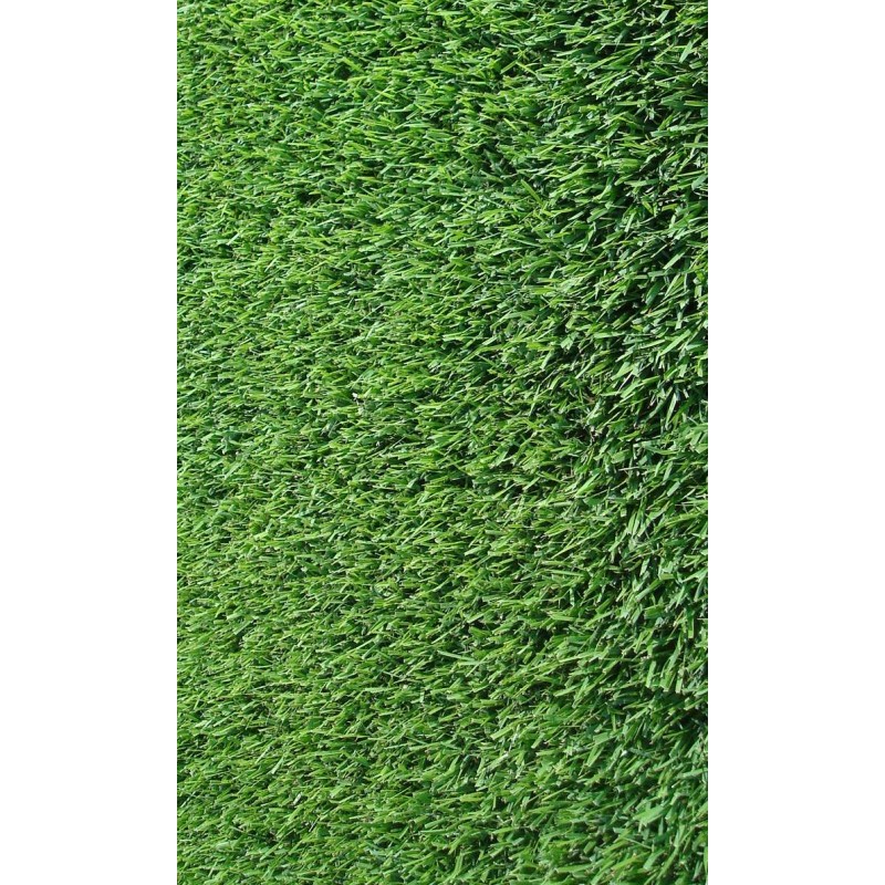 GRAMIGNA (CYNODON DACTYLON) KG 25,00