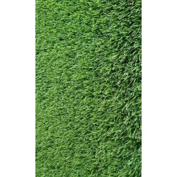 Gramigna (cynodon Dactylon) Kg 25,00