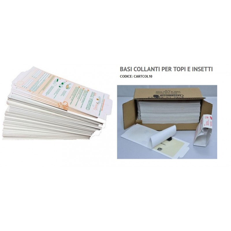 CARTONCINO COLLANTE (X MULTICAT12)