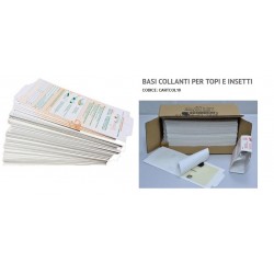 Cartoncino Collante (x Multicat12)