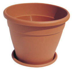 Vaso Minerva Ico40