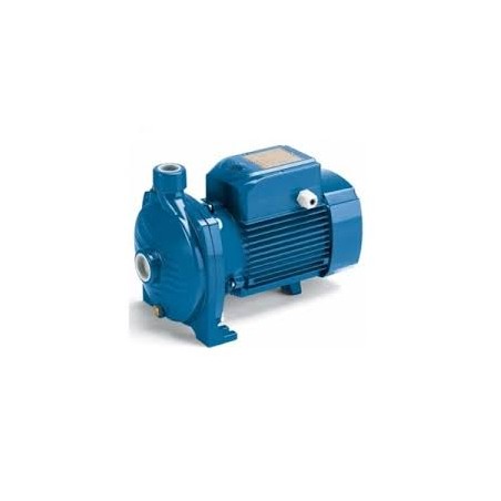 POMPE MONOGIRANTI IN GHISA HP 2,0 220V ESPA