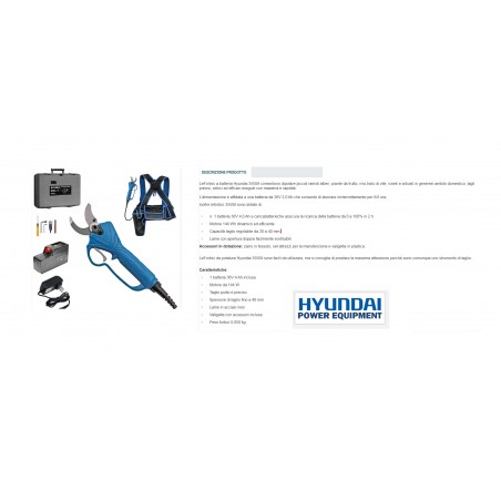 POTATORE A BATTERIA HYUNDAI LITIO 4AH-36V KIT