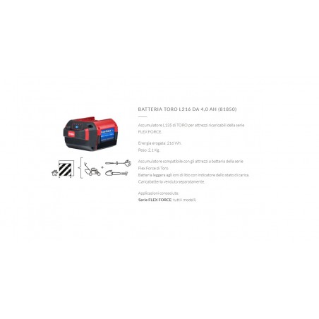 BATTERIA 60V - 4.0A TORO