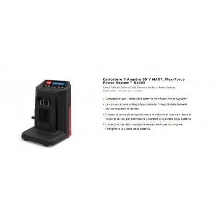 CARICABATTERIA 60V - 5.0A TORO
