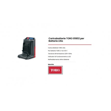 CARICABATTERIA 60V  TORO