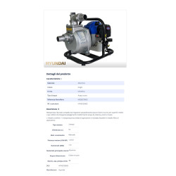 Motopompa Benzina 2t Hyundai 2hp-20mc3/h-prev.26m