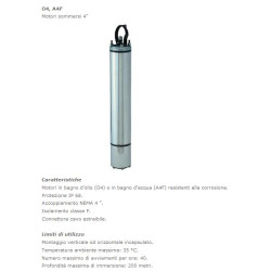 Motore V.220 - Hp 2,0 (bagno D Olio) Arow