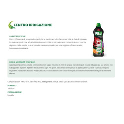 KIT VASO CIOTOLA PLASTICA 50+ARGILLA ESPANSA 10LT